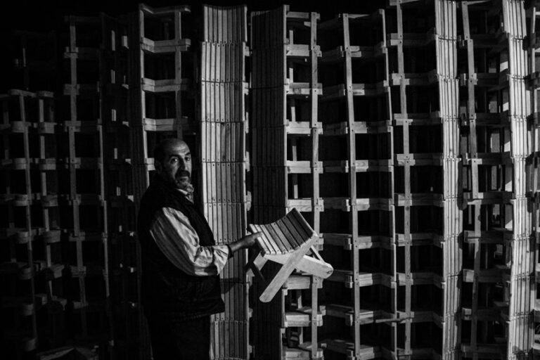 business patterns and insights